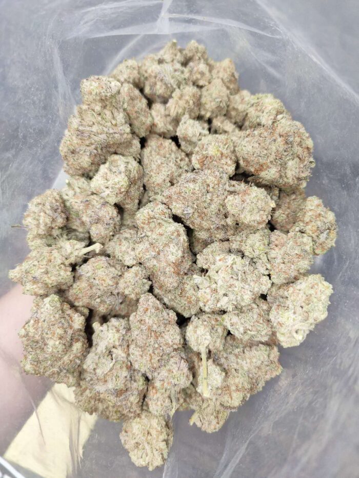 Blue Dragon | The Bulk Guys | AAA | Premium Weed | Cheap Bulk Guys | Flash Sale