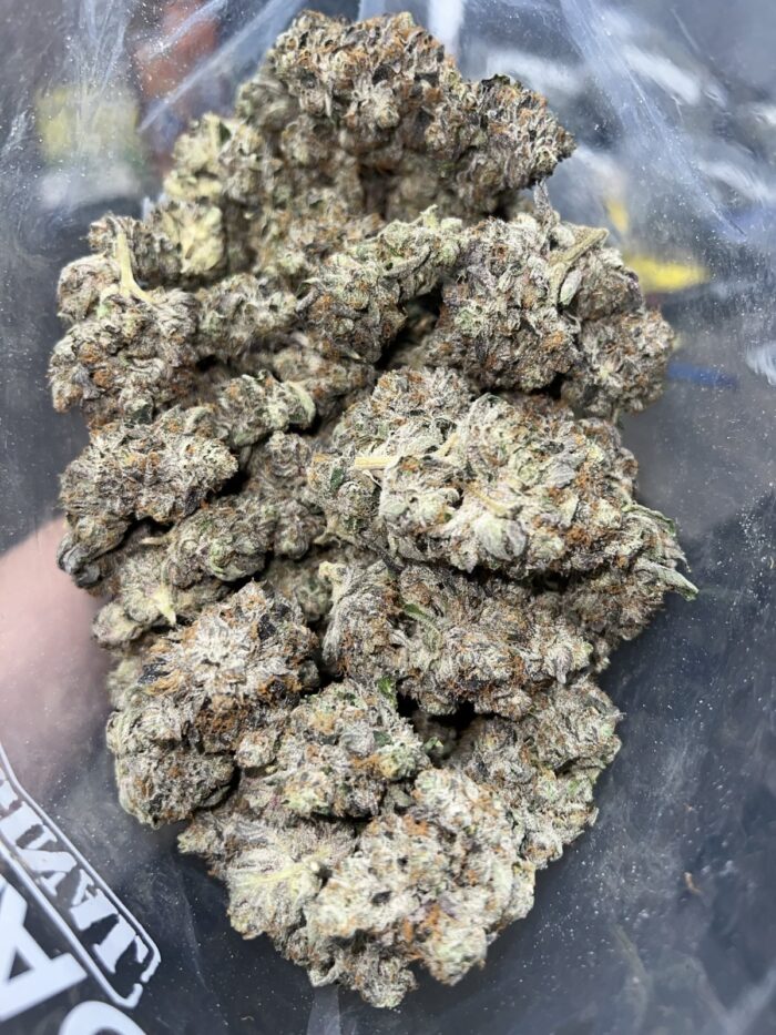 Coastal Pink | The Bulk Guys | AAAA | Premium Weed | Cheap Bulk Guys | Flash Sale