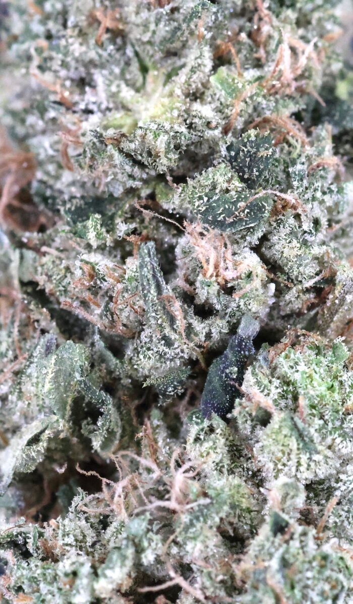 Death Bubba | The Bulk Guys | AAAA | Premium Weed | Cheap Bulk Guys | Flash Sale