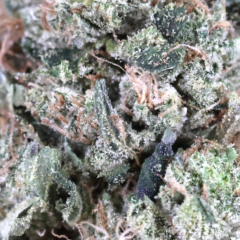 Death Bubba | The Bulk Guys | AAAA | Premium Weed | Cheap Bulk Guys | Flash Sale