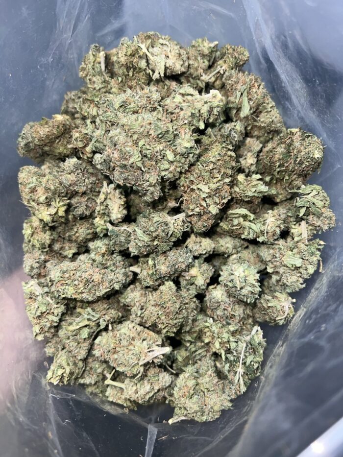 Hawaiian Haze | The Bulk Guys | AAA | Premium Weed | Cheap Bulk Guys | Flash Sale