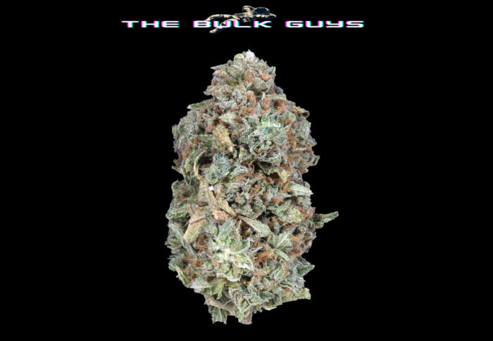 Hawaiian Haze | The Bulk Guys | AAA | Premium Weed | Cheap Bulk Guys | Flash Sale