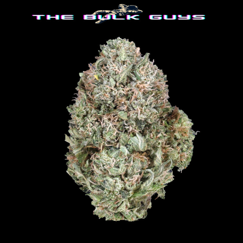 Pink Fox | The Bulk Guys | AAAA | Premium Weed | Cheap Bulk Guys | Flash Sale