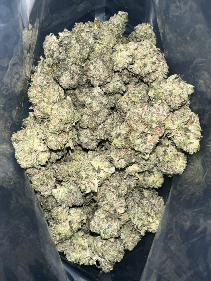 Pink Fox | The Bulk Guys | AAAA | Premium Weed | Cheap Bulk Guys | Flash Sale