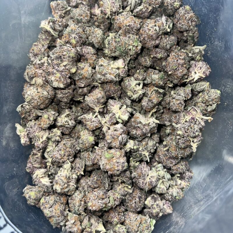 Cherry Gelato Small | The Bulk Guys | AAA | Premium Weed | Cheap Bulk Guys | Flash Sale