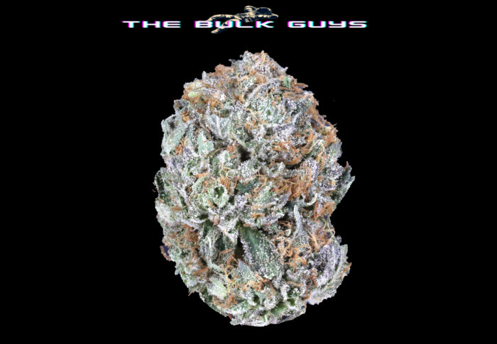 Master Kush | The Bulk Guys | AAAA | Premium Weed | Cheap Bulk Guys | Flash Sale