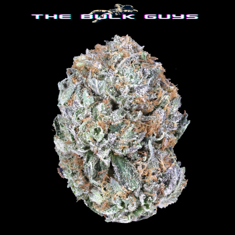 Master Kush | The Bulk Guys | AAAA | Premium Weed | Cheap Bulk Guys | Flash Sale