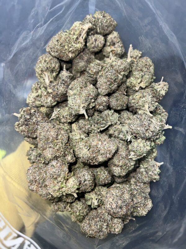 Pink Champagne | The Bulk Guys | AAAA | Premium Weed | Cheap Bulk Guys | Flash Sale