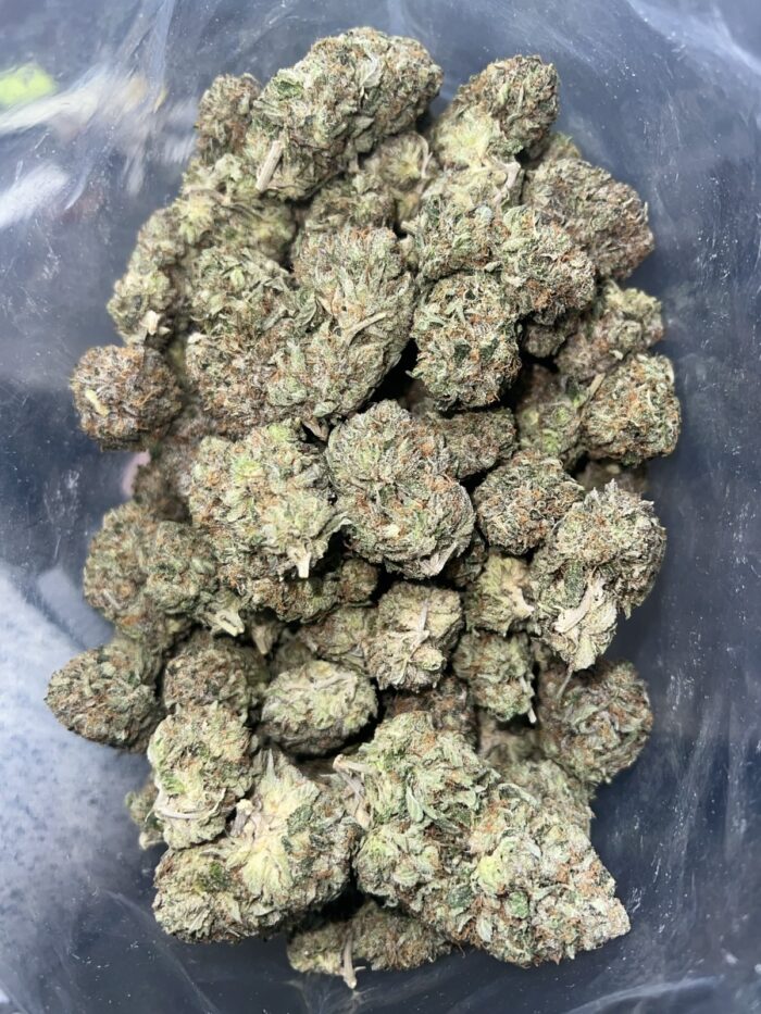 Master Kush | The Bulk Guys | AAAA | Premium Weed | Cheap Bulk Guys | Flash Sale