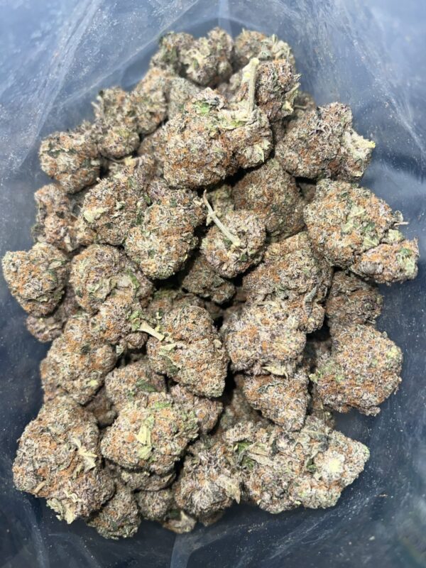 Gelato Cake | Premium Weed | Cheap Bulk Guys | Flash Sale