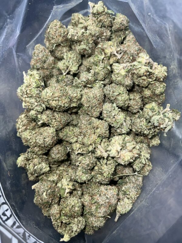 DB | The Bulk Guys | AAAA | Premium Weed | Cheap Bulk Guys | Flash Sale