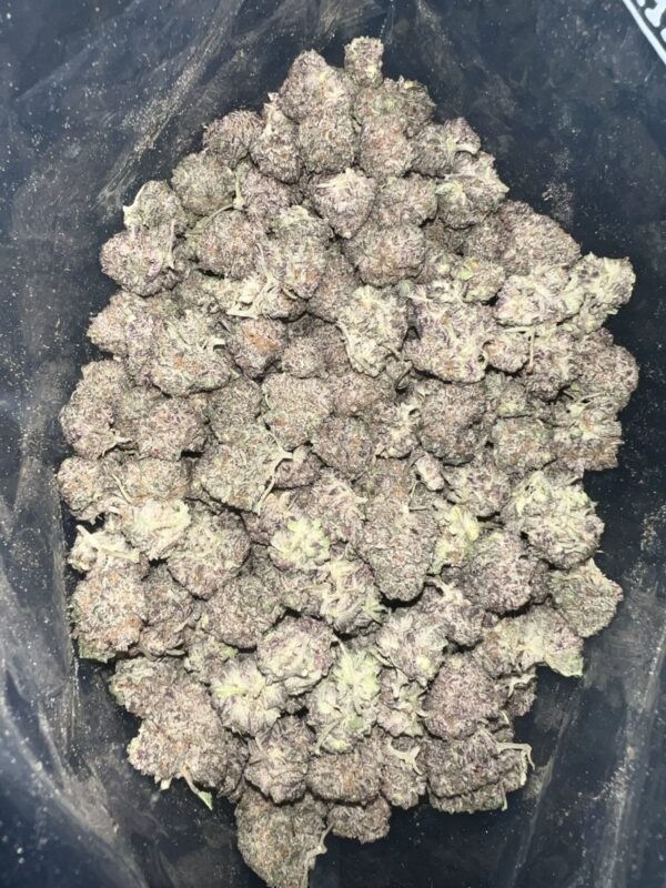 Cherry Gelato | The Bulk Guys | AAAA | Premium Weed | Cheap Bulk Guys | Flash Sale