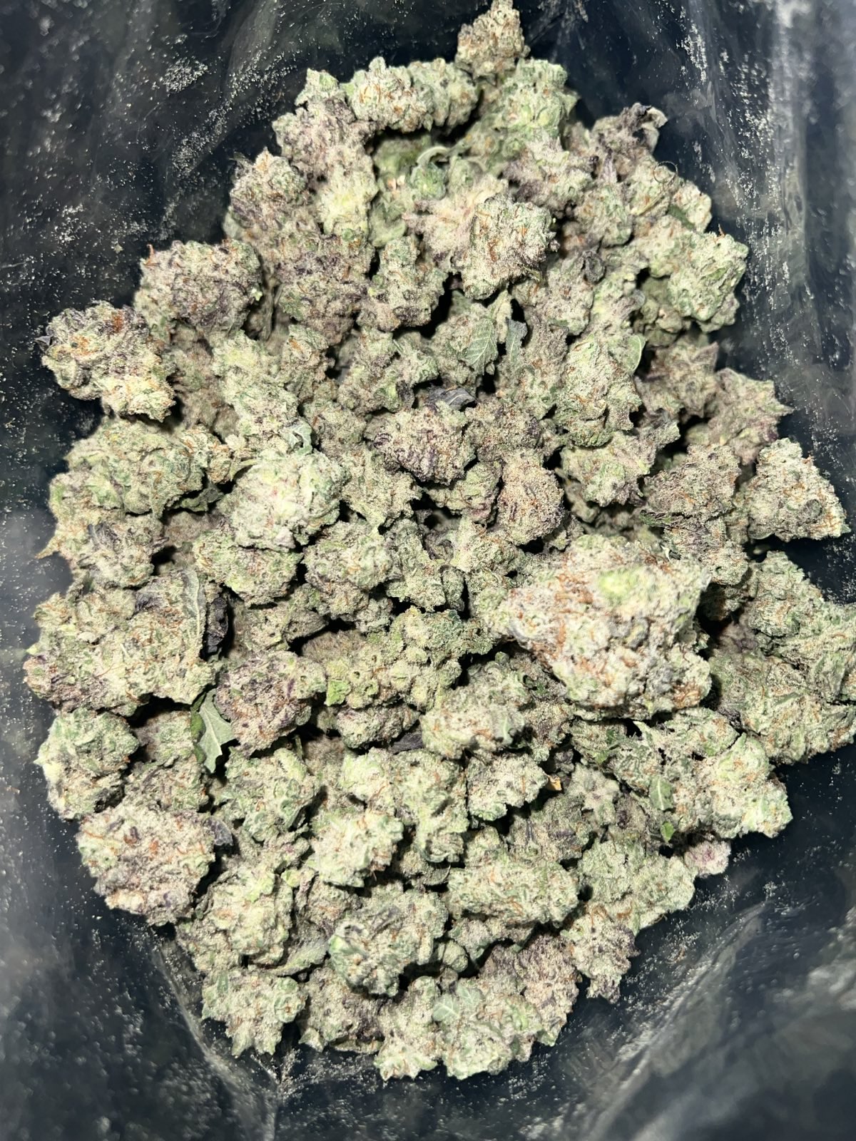 MAC N Cheese | The Bulk Guys | AAAA | Premium Weed | Cheap Bulk Guys | Flash Sale