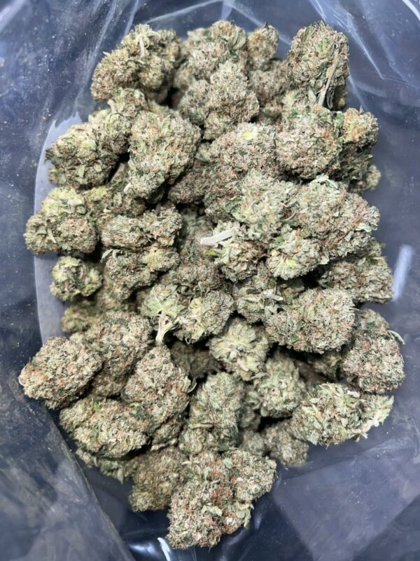 Super Max OG | The Bulk Guys | AAAA | Premium Weed | Cheap Bulk Guys | Flash Sale