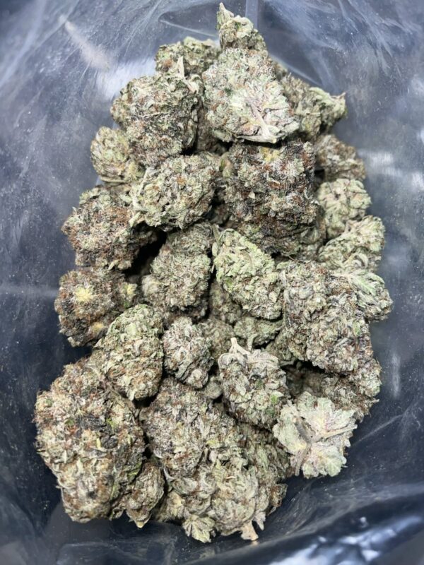 Southern Toad | The Bulk Guys | AAAA | Premium Weed | Cheap Bulk Guys | Flash Sale