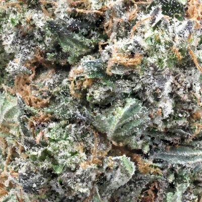 MKU | The Bulk Guys | AAAA | Premium Weed | Cheap Bulk Guys | Flash Sale