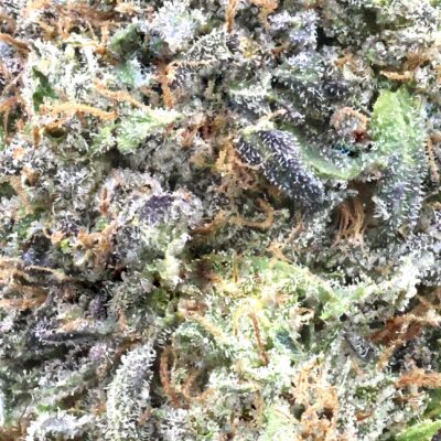 Astro Pink | The Bulk Guys | AAAA | Premium Weed | Cheap Bulk Guys | Flash Sale