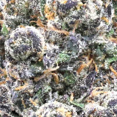Mochi Gelato | The Bulk Guys | AAAA | Premium Weed | Cheap Bulk Guys | Flash Sale