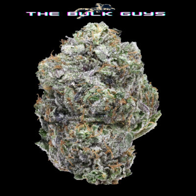 Pink Quattro | The Bulk Guys | AAAA | Premium Weed | Cheap Bulk Guys | Flash Sale