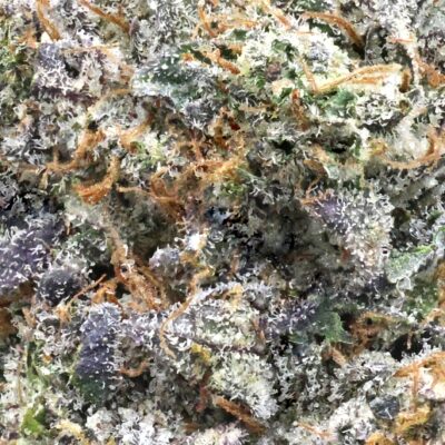Pink Velvet | The Bulk Guys | AAAA | Premium Weed | Cheap Bulk Guys | Flash Sale