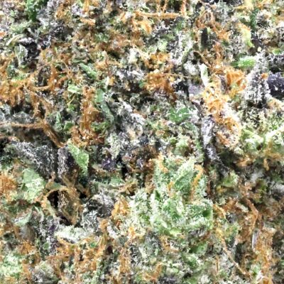 Platinum Rockstar | The Bulk Guys | AAAA | Premium Weed | Cheap Bulk Guys | Flash Sale
