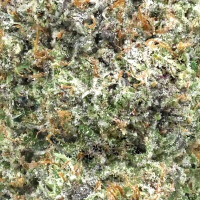 Death gas | The Bulk Guys | AAAA | Premium Weed | Cheap Bulk Guys | Flash Sale