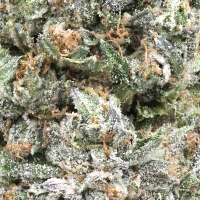 Pink Caviar | The Bulk Guys | AAAA | Premium Weed | Cheap Bulk Guys | Flash Sale