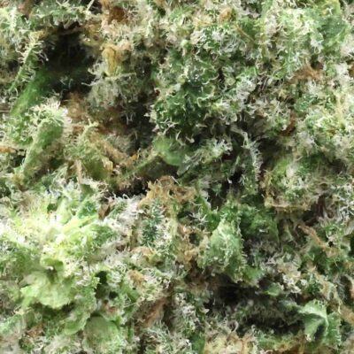 Gush Mintz | The Bulk Guys | AAAA | Premium Weed | Cheap Bulk Guys | Flash Sale