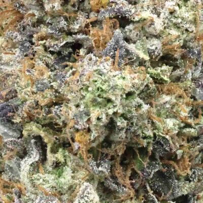 Pink Gummy | The Bulk Guys | AAAA | Premium Weed | Cheap Bulk Guys | Flash Sale