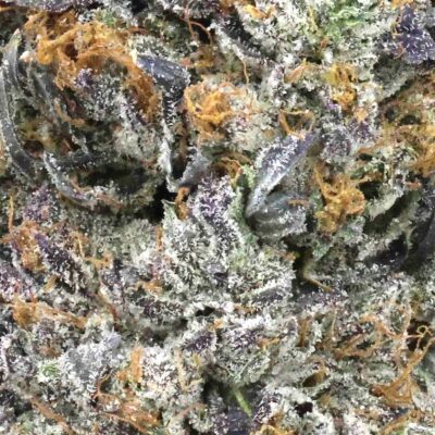 Pink Rockstar | The Bulk Guys | AAAA | Premium Weed | Cheap Bulk Guys | Flash Sale