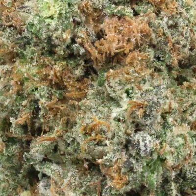 Platinum Rockstar | The Bulk Guys | AAAA | Premium Weed | Cheap Bulk Guys | Flash Sale