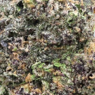 Sunset Sherbert | The Bulk Guys | AAAA | Premium Weed | Cheap Bulk Guys | Flash Sale