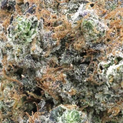 Wagyu | The Bulk Guys | AAAA | Premium Weed | Cheap Bulk Guys | Flash Sale