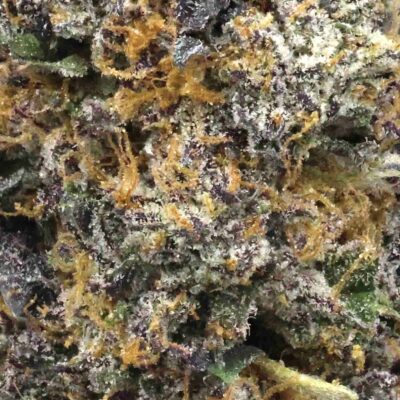 Cereal killer | The Bulk Guys | AAAA | Premium Weed | Cheap Bulk Guys | Flash Sale