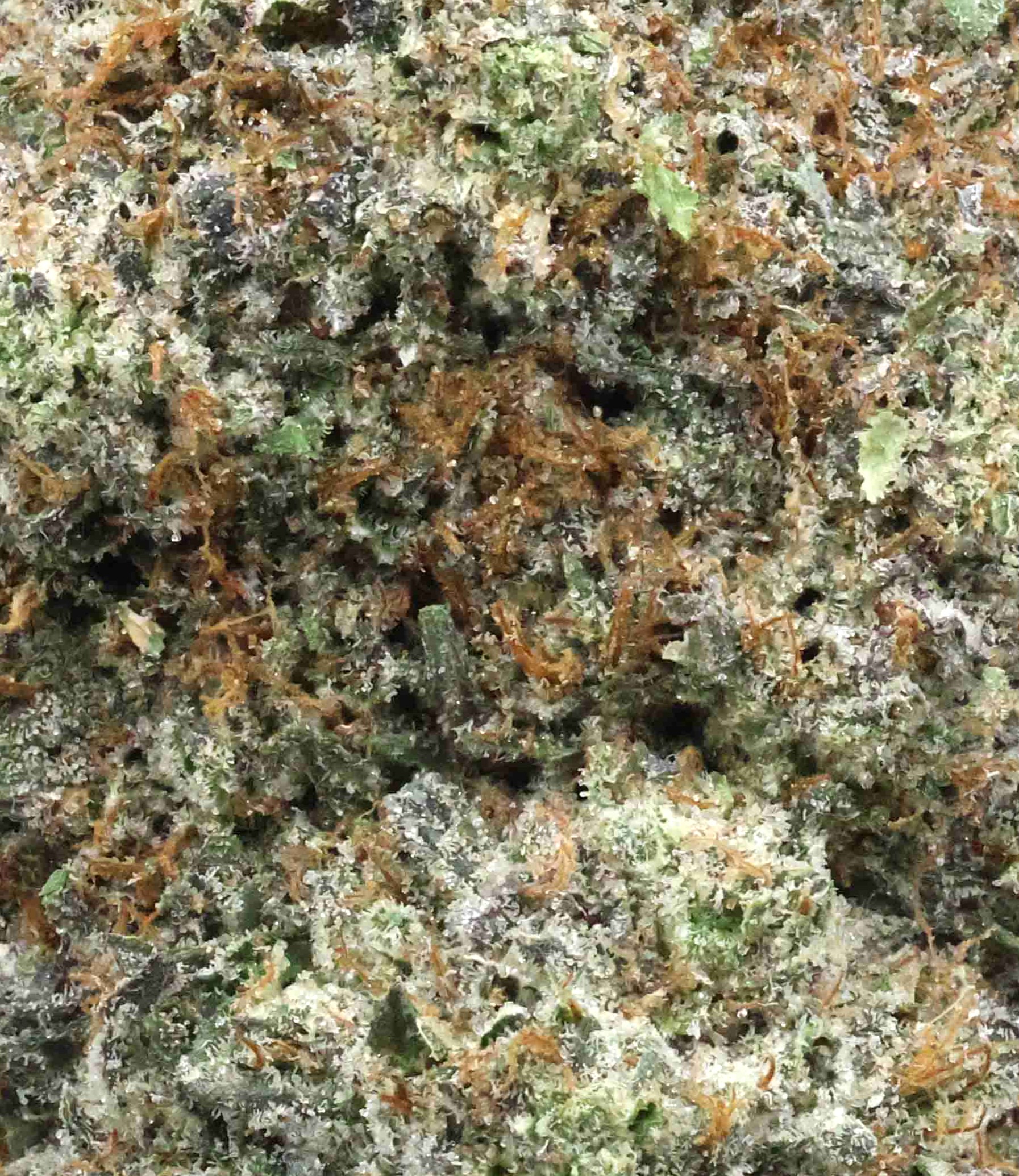 Diablo death bubba | The Bulk Guys | AAAA | Premium Weed | Cheap Bulk Guys | Flash Sale