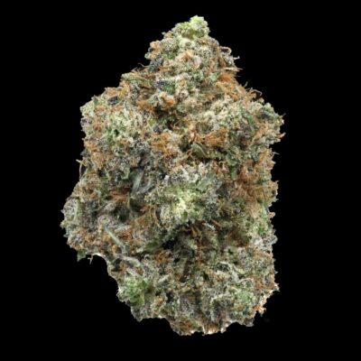 Master Kush | The Bulk Guys | AAAA | Premium Weed | Cheap Bulk Guys | Flash Sale