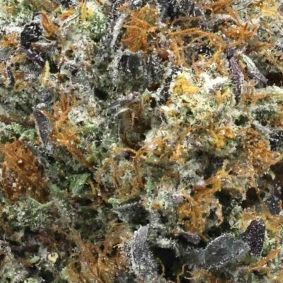 Organic Diesel | The Bulk Guys | AAAA | Premium Weed | Cheap Bulk Guys | Flash Sale