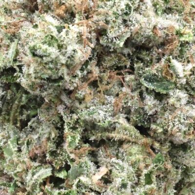 Pink Bubba | The Bulk Guys | AAAA | Premium Weed | Cheap Bulk Guys | Flash Sale