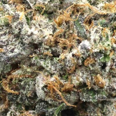 Pink Death Star | The Bulk Guys | AAAA | Premium Weed | Cheap Bulk Guys | Flash Sale