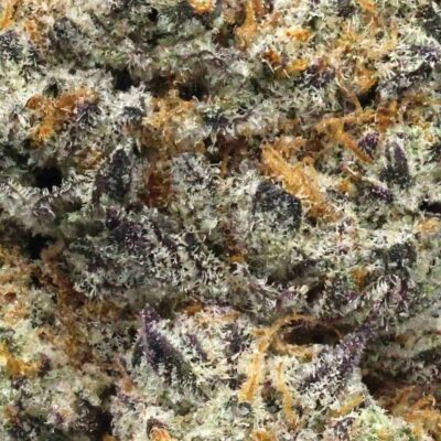Purple Zkittlez | The Bulk Guys | AAAA | Premium Weed | Cheap Bulk Guys | Flash Sale