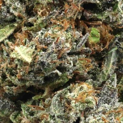 Ultra pink | The Bulk Guys | AAAA | Premium Weed | Cheap Bulk Guys | Flash Sale