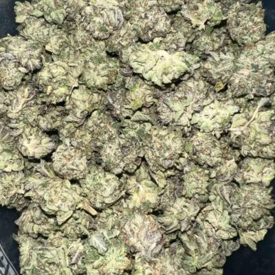 Pink Gas Small | The Bulk Guys | AAAA | Premium Weed | Cheap Bulk Guys | Flash Sale