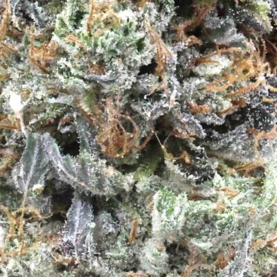 Pink Frozay | The Bulk Guys | AAAA | Premium Weed | Cheap Bulk Guys | Flash Sale
