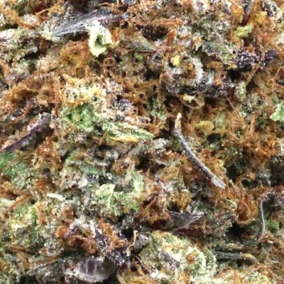 Pink Taffy | The Bulk Guys | AAAA | Premium Weed | Cheap Bulk Guys | Flash Sale