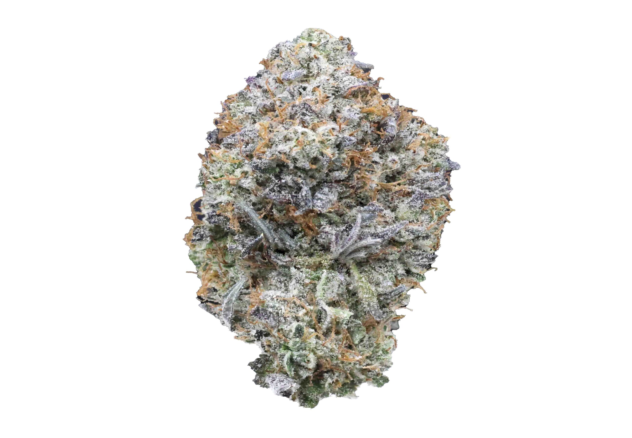 Pink tuna | The Bulk Guys | AAAA | Premium Weed | Cheap Bulk Guys | Flash Sale