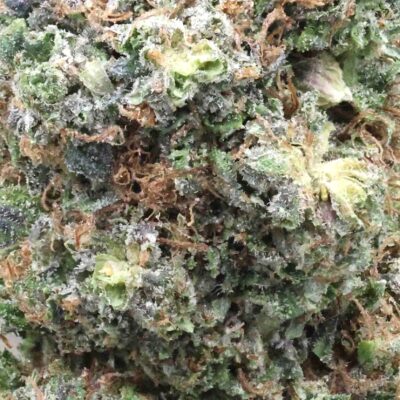 Star Killer | The Bulk Guys | AAAA | Premium Weed | Cheap Bulk Guys | Flash Sale Star Killer | The Bulk Guys | AAAA | Premium Weed | Cheap Bulk Guys | Flash Sale
