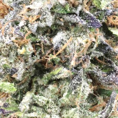 Afghani Pink | The Bulk Guys | AAAA | Premium Weed | Cheap Bulk Guys | Flash Sale