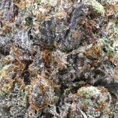 Ahi tuna | The Bulk Guys | AAAA | Premium Weed | Cheap Bulk Guys | Flash Sale