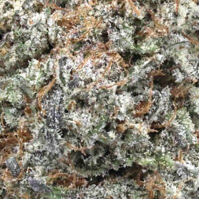 Black gas The Bulk Guys | AAAA | Premium Weed | Cheap Bulk Guys | Flash Sale