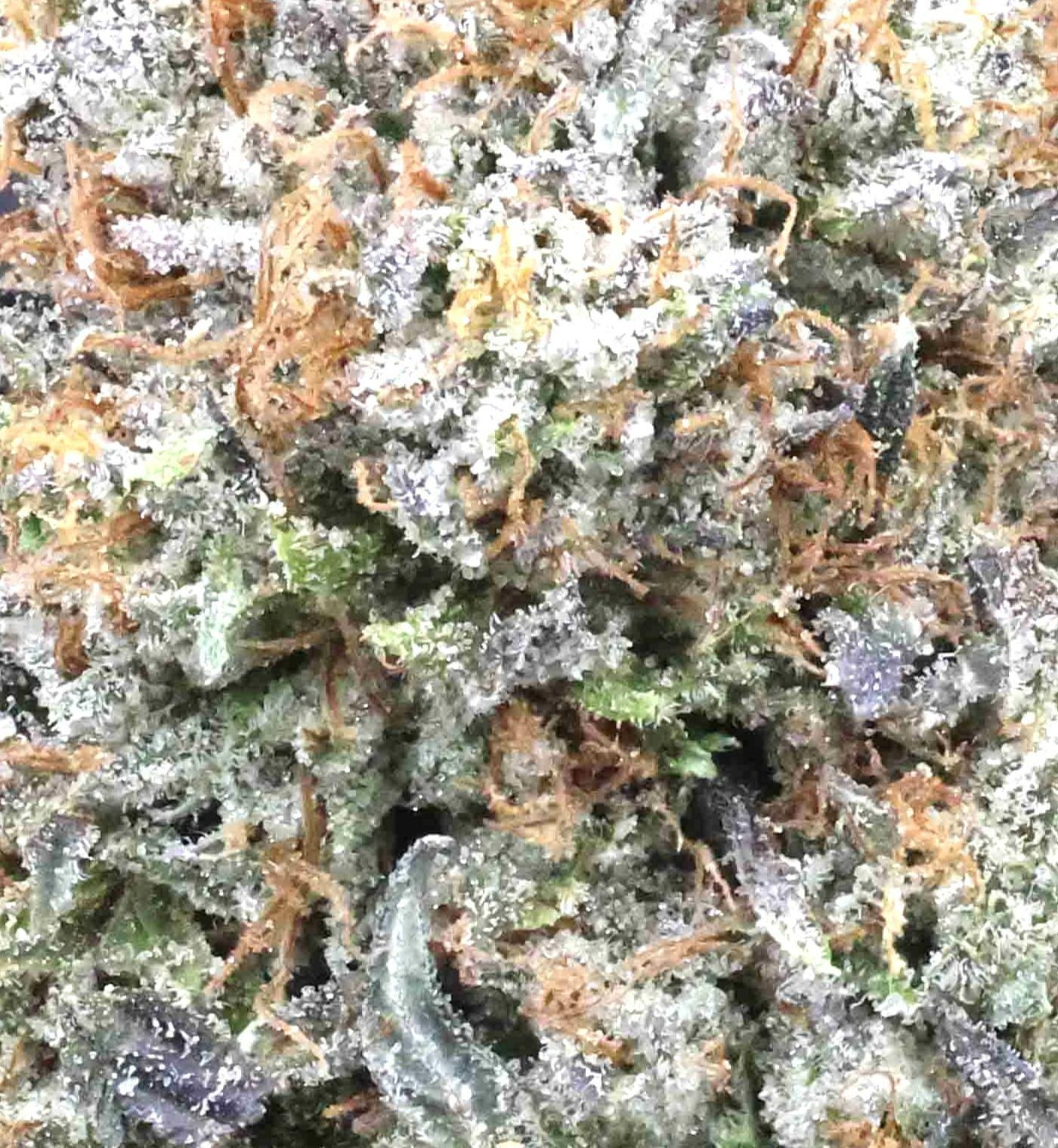Death Star | The Bulk Guys | AAAA | Premium Weed | Cheap Bulk Guys | Flash Sale